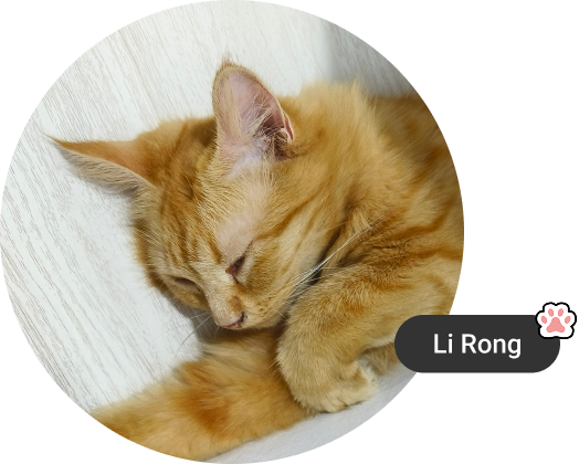 Cat: Li Rong